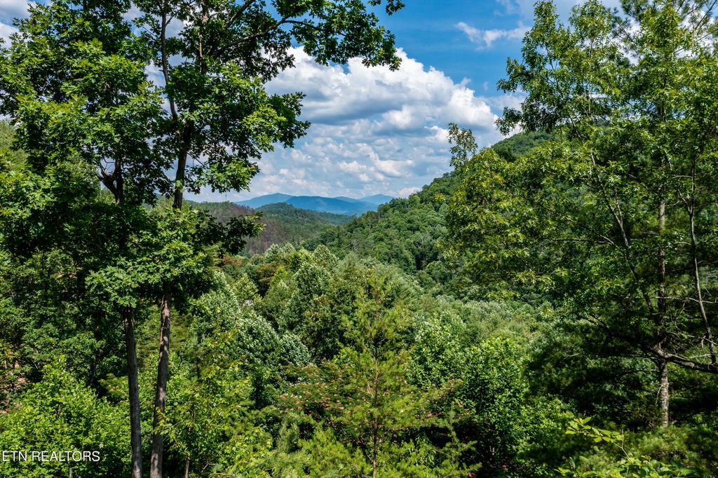 Photo of 129 Anatole Pass Pass, Townsend, TN 37882 (MLS # 1268180)