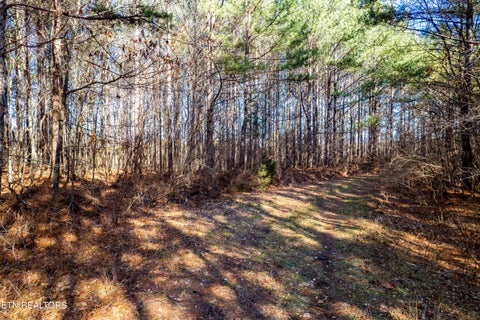 Tiny photo for Airport Rd. Lot 5, Rockwood, TN 37854 (MLS # 1357714)