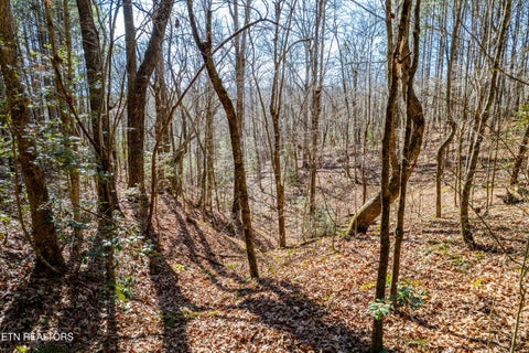 Tiny photo for Airport Rd. Lot 5, Rockwood, TN 37854 (MLS # 1357714)