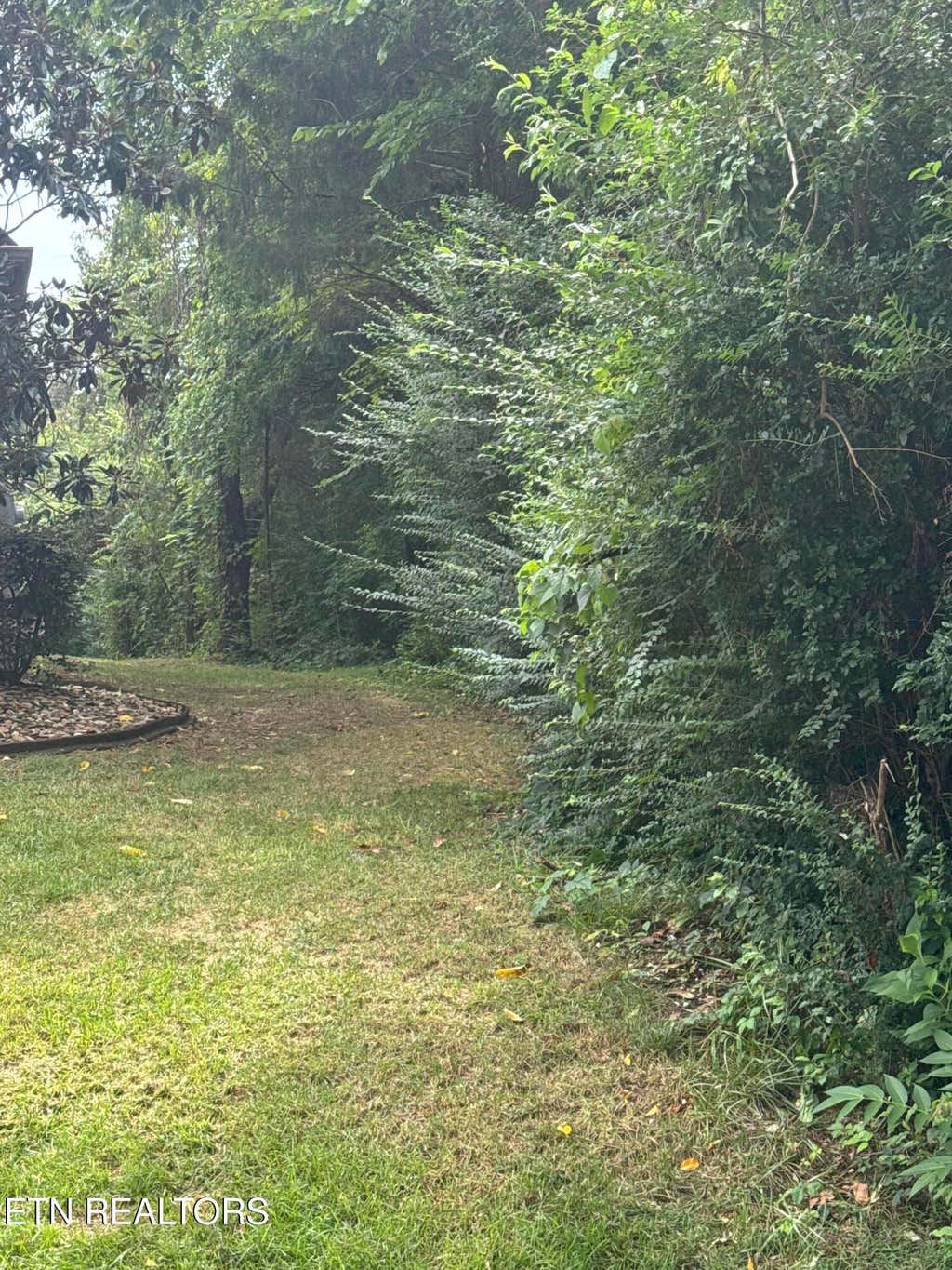 Photo of 143 Daleyuhski Way, Loudon, TN 37774 (MLS # 1352619)