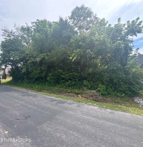 Photo of 143 Daleyuhski Way, Loudon, TN 37774 (MLS # 1352619)
