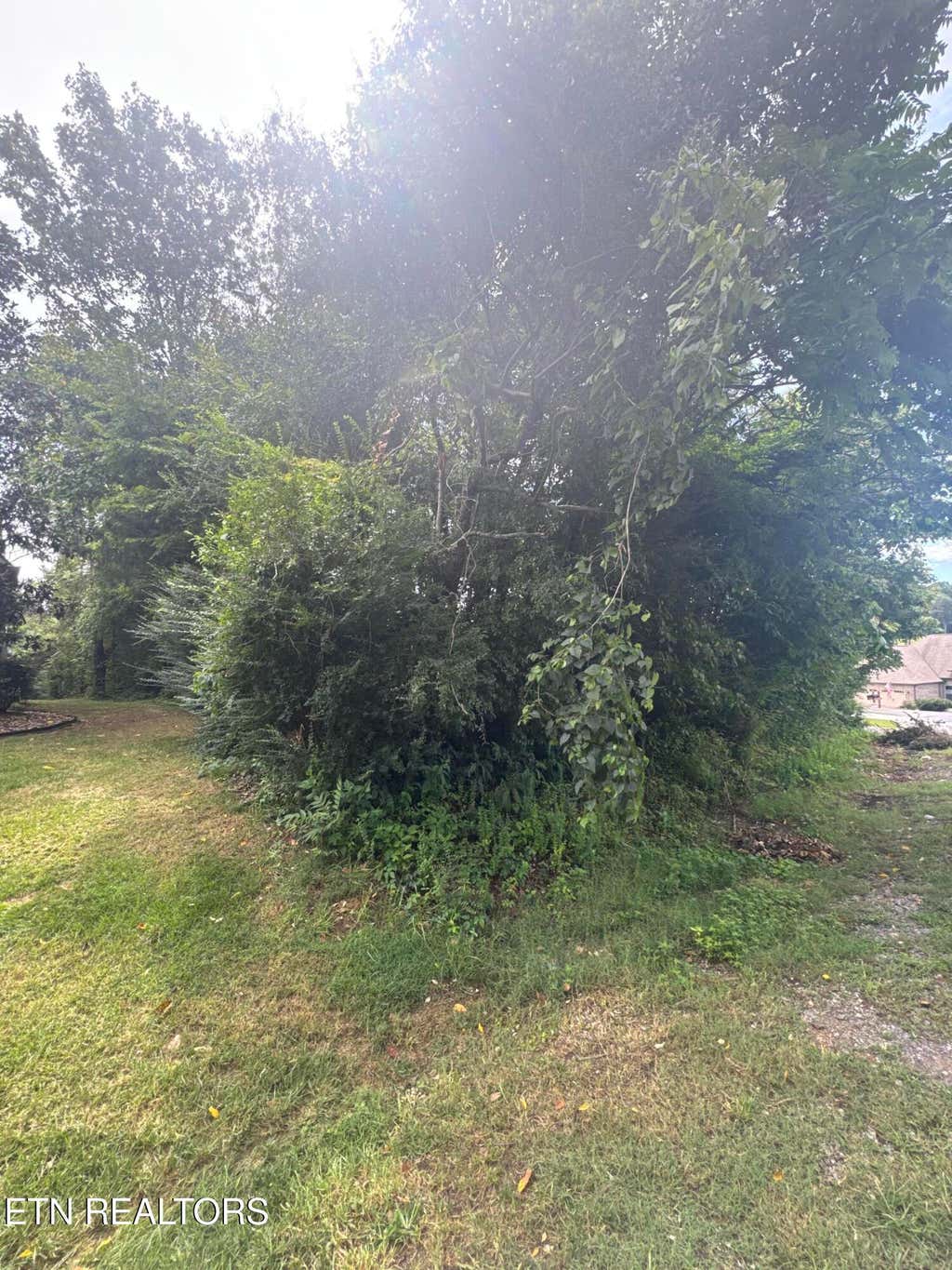 Photo of 143 Daleyuhski Way, Loudon, TN 37774 (MLS # 1352619)