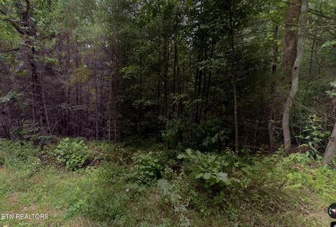 Photo of Gladys Rd, Deer Lodge, TN 37726 (MLS # 1342890)