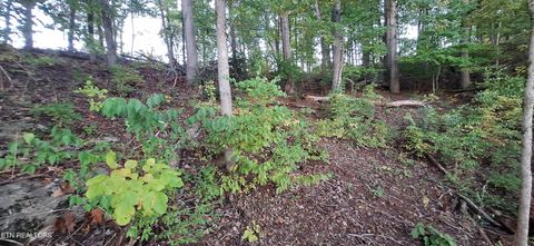 Tiny photo for 3612 Topside Rd, Knoxville, TN 37920 (MLS # 1319045)