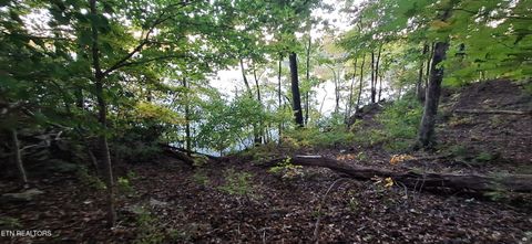 Tiny photo for 3612 Topside Rd, Knoxville, TN 37920 (MLS # 1319045)