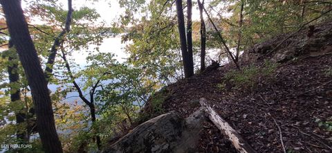 Tiny photo for 3612 Topside Rd, Knoxville, TN 37920 (MLS # 1319045)