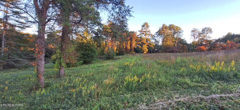 Tiny photo for 3612 Topside Rd, Knoxville, TN 37920 (MLS # 1319045)