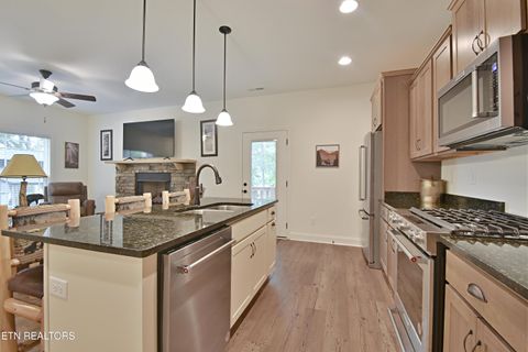 Tiny photo for 5050 Hooper Hwy, Cosby, TN 37722 (MLS # 1312171)