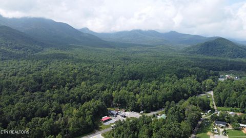 Tiny photo for 5050 Hooper Hwy, Cosby, TN 37722 (MLS # 1312171)