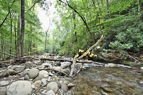 Tiny photo for 5050 Hooper Hwy, Cosby, TN 37722 (MLS # 1312171)
