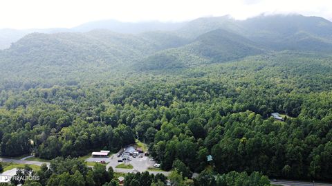 Tiny photo for 5050 Hooper Hwy, Cosby, TN 37722 (MLS # 1312171)