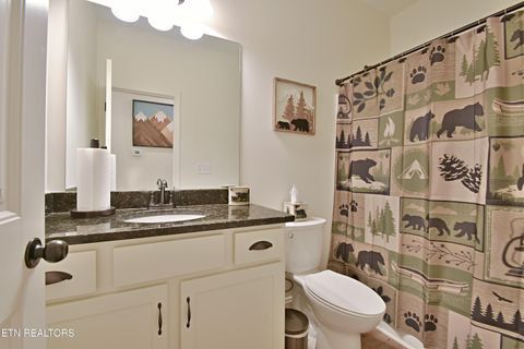 Tiny photo for 5050 Hooper Hwy, Cosby, TN 37722 (MLS # 1312171)