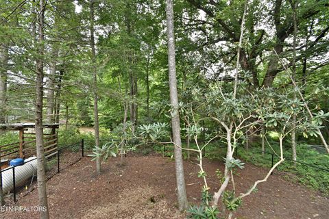 Tiny photo for 5050 Hooper Hwy, Cosby, TN 37722 (MLS # 1312171)