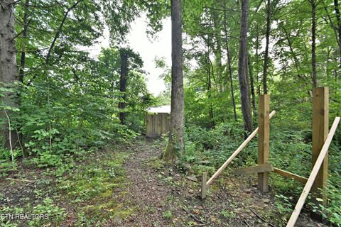 Tiny photo for 5050 Hooper Hwy, Cosby, TN 37722 (MLS # 1312171)