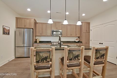 Tiny photo for 5050 Hooper Hwy, Cosby, TN 37722 (MLS # 1312171)