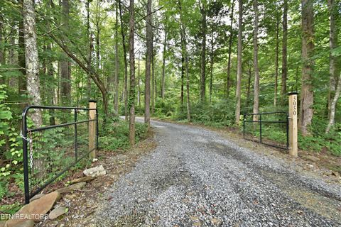 Tiny photo for 5050 Hooper Hwy, Cosby, TN 37722 (MLS # 1312171)