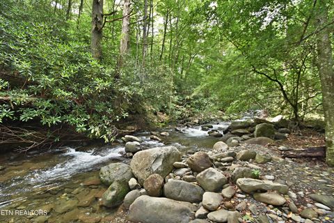 Tiny photo for 5050 Hooper Hwy, Cosby, TN 37722 (MLS # 1312171)