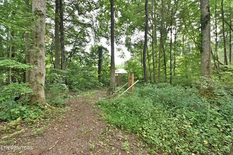 Tiny photo for 5050 Hooper Hwy, Cosby, TN 37722 (MLS # 1312171)