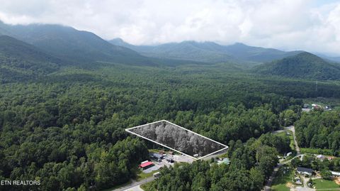 Tiny photo for 5050 Hooper Hwy, Cosby, TN 37722 (MLS # 1312171)