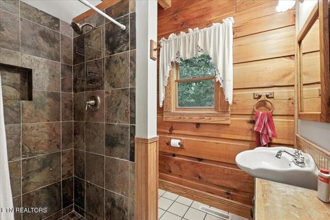 Tiny photo for 3716 Mountain View Lane, Baneberry, TN 37890 (MLS # 1329187)