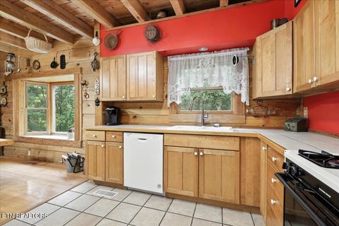 Tiny photo for 3716 Mountain View Lane, Baneberry, TN 37890 (MLS # 1329187)