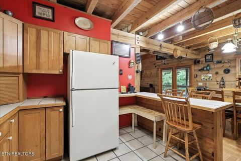 Tiny photo for 3716 Mountain View Lane, Baneberry, TN 37890 (MLS # 1329187)