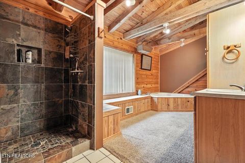 Tiny photo for 3716 Mountain View Lane, Baneberry, TN 37890 (MLS # 1329187)