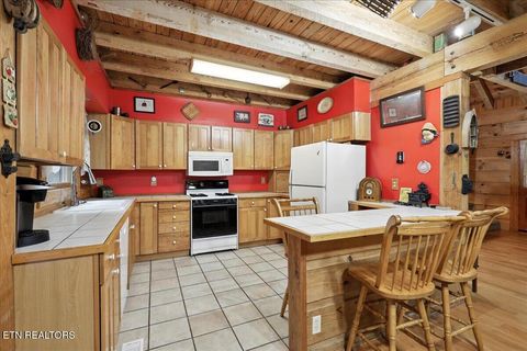 Tiny photo for 3716 Mountain View Lane, Baneberry, TN 37890 (MLS # 1329187)