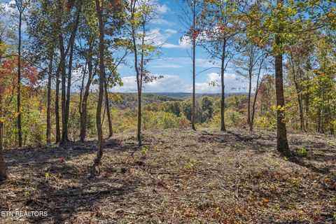 Photo of Sheep Ranch Rd., Robbins, TN 37852 (MLS # 1320693)