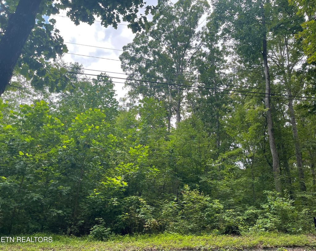 Photo of Mallard Baye, Rutledge, TN 37861 (MLS # 1310912)