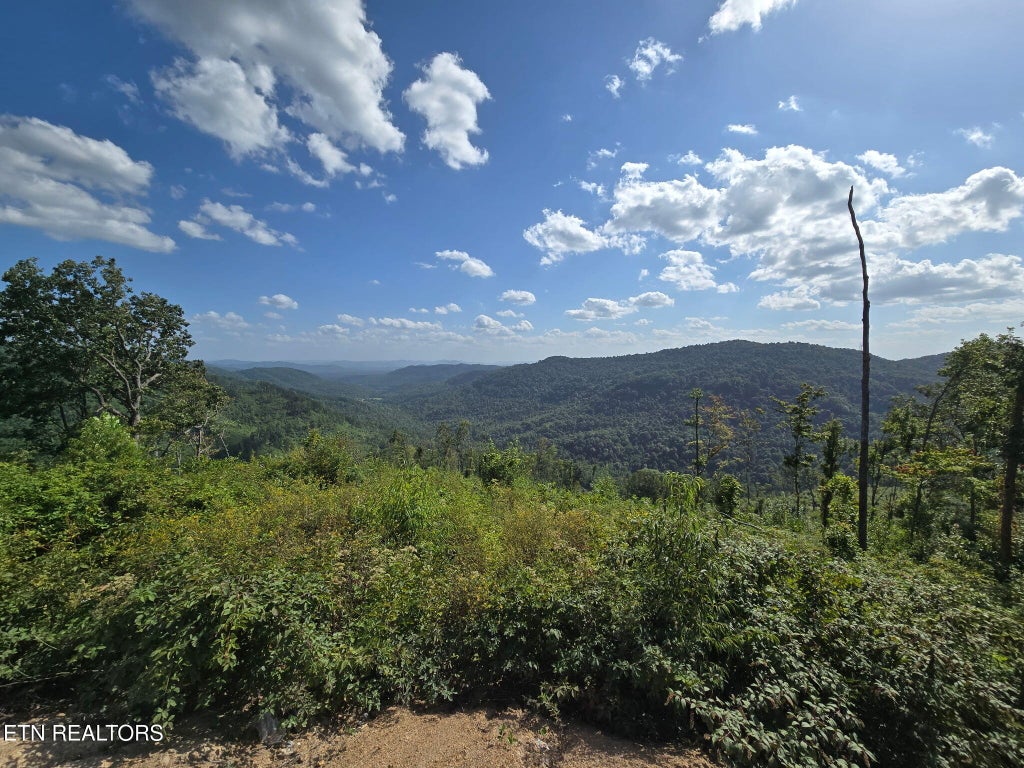 Photo of Stanley Creek, Oneida, TN 37841 (MLS # 1352552)