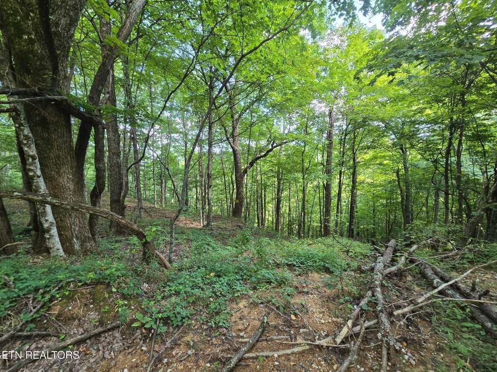 Photo of Stanley Creek, Oneida, TN 37841 (MLS # 1352552)