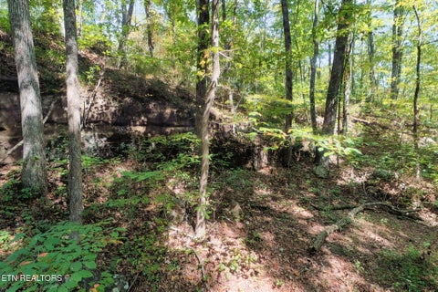 Tiny photo for 300 Laurel Way, Crawford, TN 38554 (MLS # 1355601)