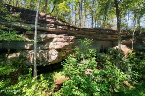 Tiny photo for 300 Laurel Way, Crawford, TN 38554 (MLS # 1355601)