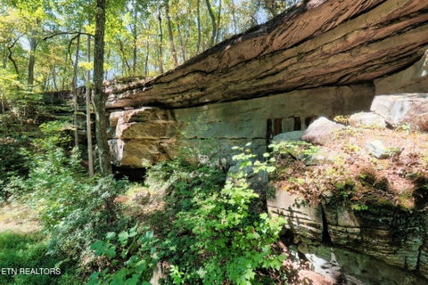 Tiny photo for 300 Laurel Way, Crawford, TN 38554 (MLS # 1355601)