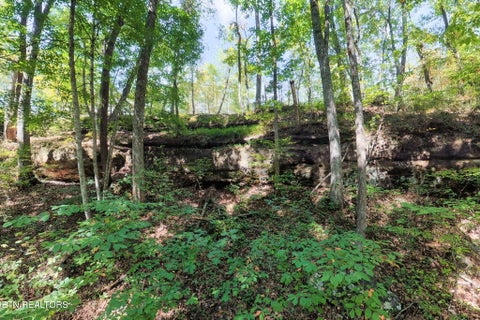 Tiny photo for 300 Laurel Way, Crawford, TN 38554 (MLS # 1355601)