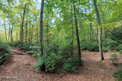 Tiny photo for 300 Laurel Way, Crawford, TN 38554 (MLS # 1355601)
