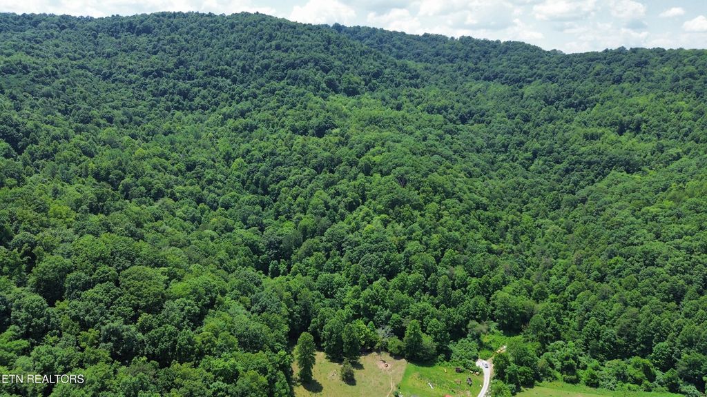 Photo of 0000 Lick Creek Lane, LaFollette, TN 37766 (MLS # 1348466)