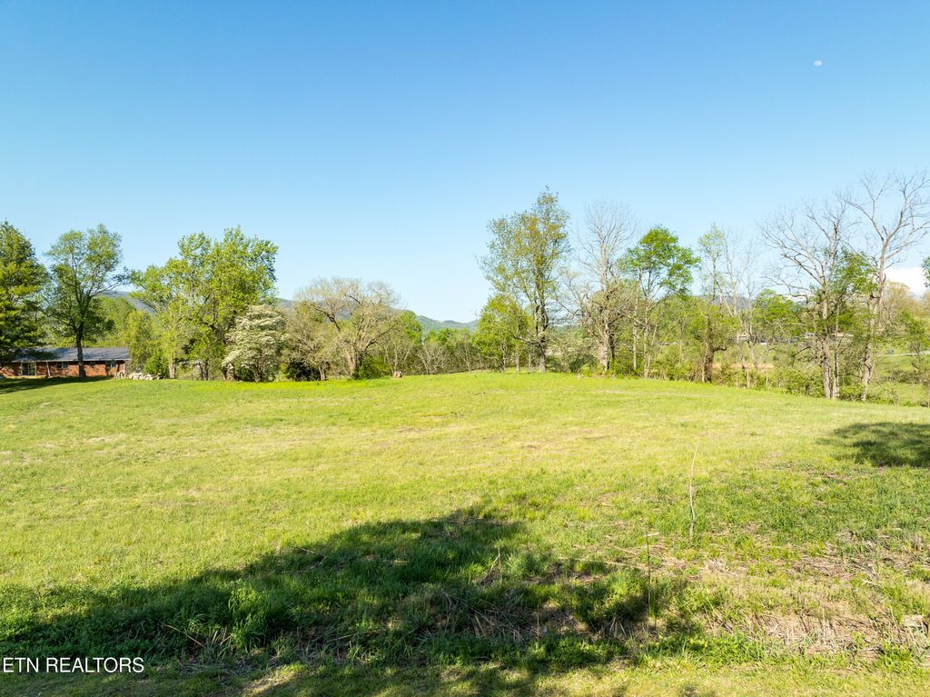 Photo of E Chestnut Hill Rd, Townsend, TN 37882 (MLS # 1260135)