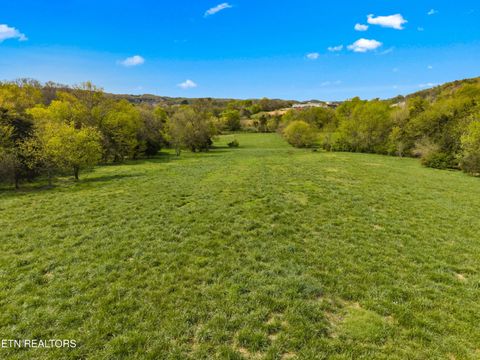 Tiny photo for 12 E Dumplin Valley Rd, Jefferson City, TN 37760 (MLS # 1336228)