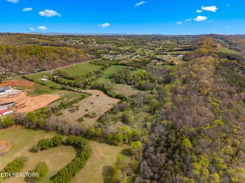 Tiny photo for 12 E Dumplin Valley Rd, Jefferson City, TN 37760 (MLS # 1336228)