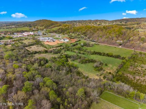 Tiny photo for 12 E Dumplin Valley Rd, Jefferson City, TN 37760 (MLS # 1336228)