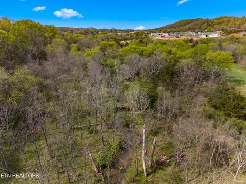 Tiny photo for 12 E Dumplin Valley Rd, Jefferson City, TN 37760 (MLS # 1336228)