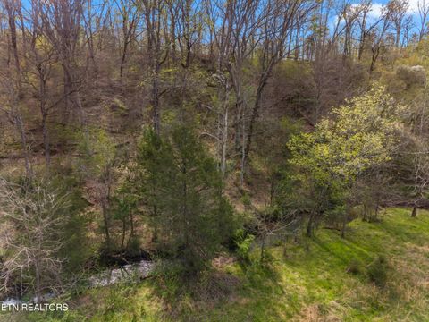 Tiny photo for 12 E Dumplin Valley Rd, Jefferson City, TN 37760 (MLS # 1336228)