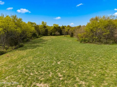 Tiny photo for 12 E Dumplin Valley Rd, Jefferson City, TN 37760 (MLS # 1336228)
