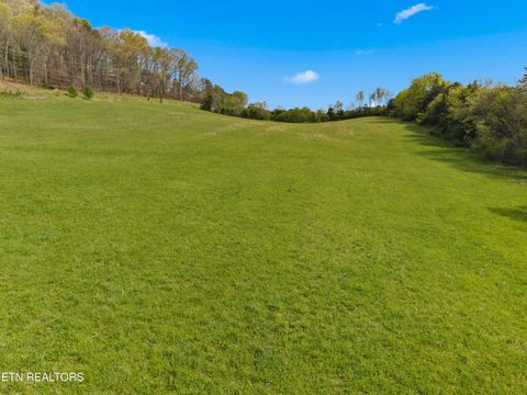 Tiny photo for 12 E Dumplin Valley Rd, Jefferson City, TN 37760 (MLS # 1336228)