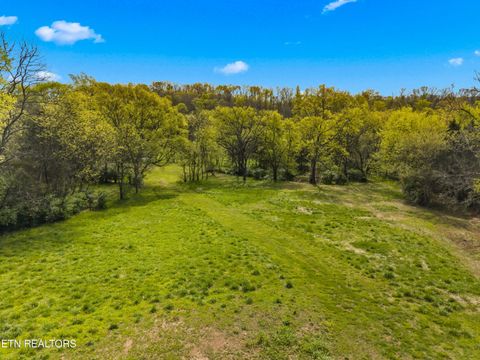 Tiny photo for 12 E Dumplin Valley Rd, Jefferson City, TN 37760 (MLS # 1336228)