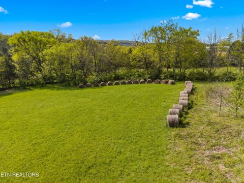 Tiny photo for 12 E Dumplin Valley Rd, Jefferson City, TN 37760 (MLS # 1336228)