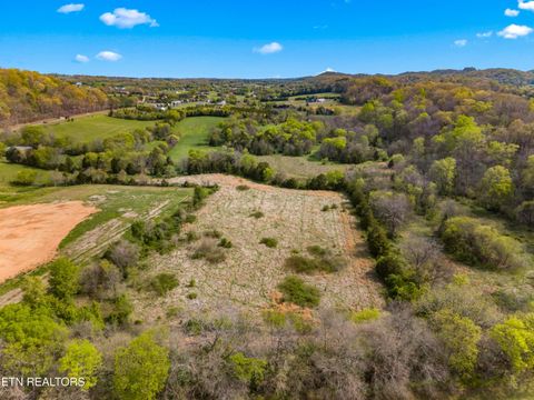 Tiny photo for 12 E Dumplin Valley Rd, Jefferson City, TN 37760 (MLS # 1336228)