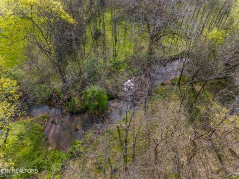 Tiny photo for 12 E Dumplin Valley Rd, Jefferson City, TN 37760 (MLS # 1336228)